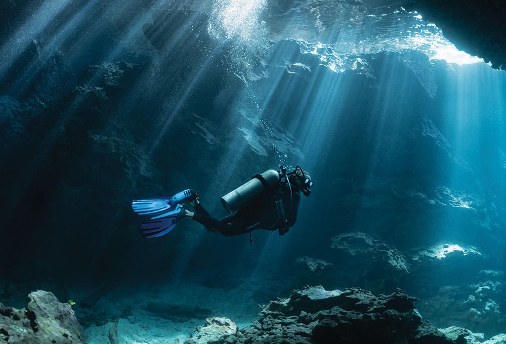 X Prive By LIFEGUARD